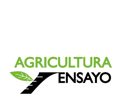 alternativa y ensayo logo